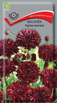 Василек Карлик Красный (0,1гр)