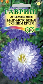 Астра Мацумото Белая с синим краем (0,3гр.)