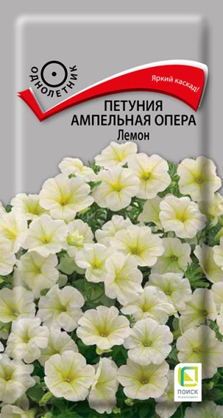 petunia_ampel_opera_lemon