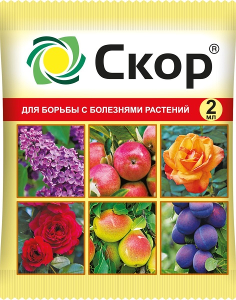 скор