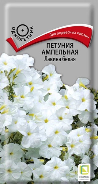 petunia_ampel_f1_shock_wave_kosmo