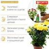 full_roze_krasota_rezult