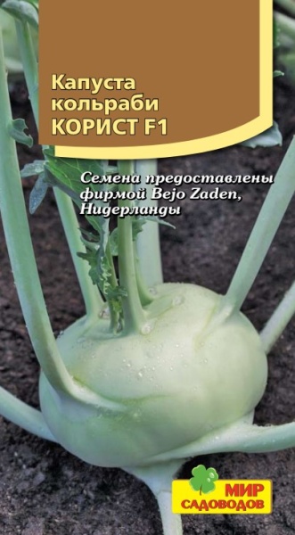 Капуста кольраби Корист