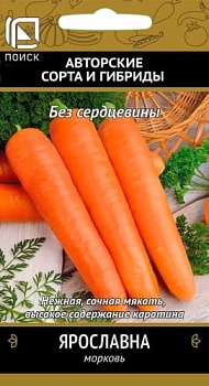 Морковь Ярославна,  2гр.