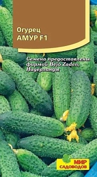 Огурец Амур F1 (5шт)