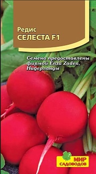 Редис Селеста (100шт)