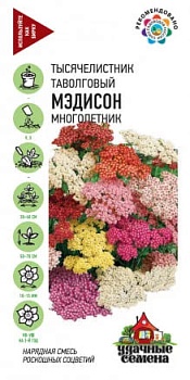 Тысячелистник Мэдисон смесь (0,1гр.)