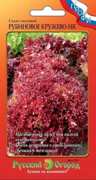 2025-09-27_10-18-34 (1)