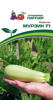 Кабачок Мурзик 5шт (Партнер)
