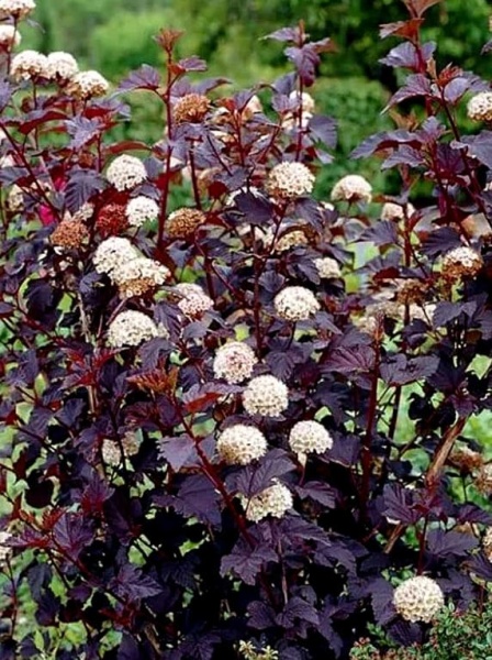 2025-11-05_06-48-26 (1)