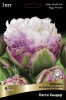 image (2)