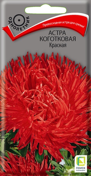astra_kogotkovaya_krasnaya