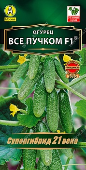 Огурец Все пучком F1 