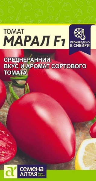 марал (1)