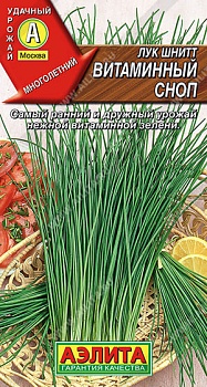 Лук шнитт Витаминный сноп 0,5