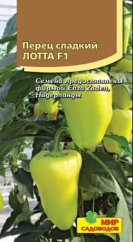 Перец Лотта F1 (5шт)