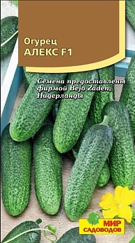 Огурец Алекс F1 (5шт)
