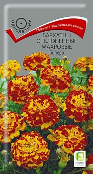 Бархатцы отклоненные Болеро (0,4гр)