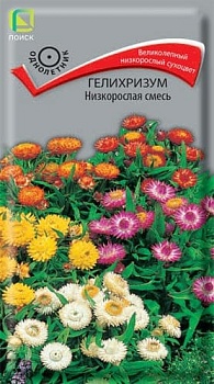 Гелихризум низкорослая Смесь окрасок (0,1гр)