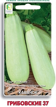 Кабачок Грибовский 37 12шт.