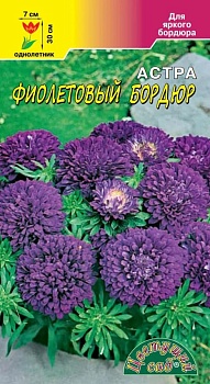 Астра Бордюр Фиолетовый (0,3гр)