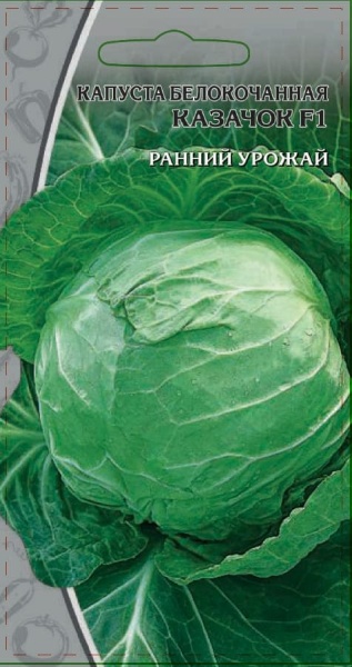 Капуста белокачанная Казачок (1) (1)