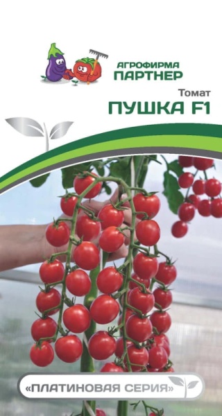 Пушка (1) Пушка (1)