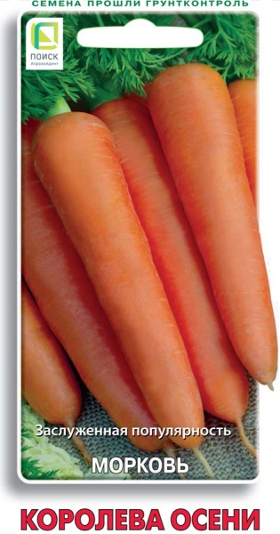 morkov_koroleva_oseni