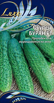Огурец Буран F1 (10шт) 