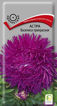Астра Василиса прекрасная (0,3гр)