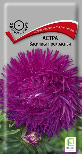astra_vasilisa_prekrasnaya