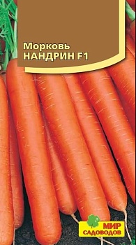 Морковь Нандрин (180шт)