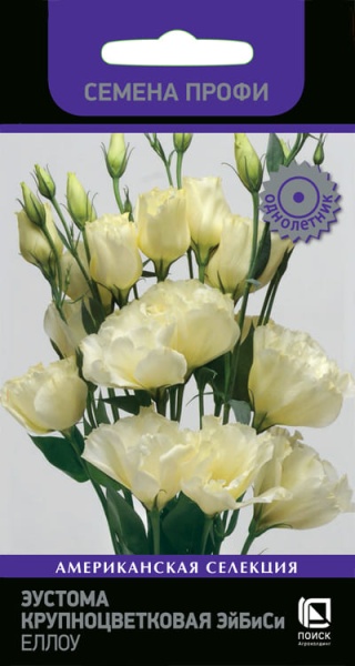 eustoma_krupnocvet_abc_yellow (1)
