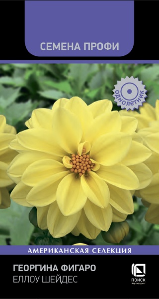 georgina_figaro_yellow_shades