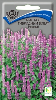Агастахе гибридный Виват Розовый 10шт.