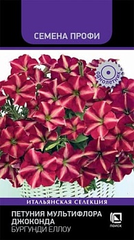 Петуния мультифлора Джоконда Бургунди Еллоу 10шт