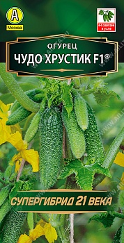 Огурец Чудо хрустик F1