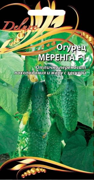 мер (1) (1)