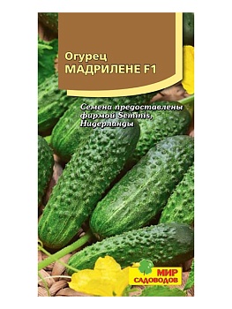 Огурец Мадрилене F1 (5шт)