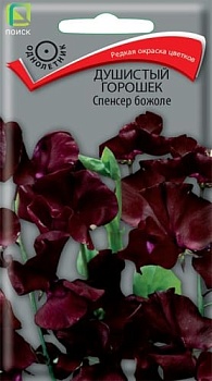 Душистый горошек Спенсер Божоле (1гр)