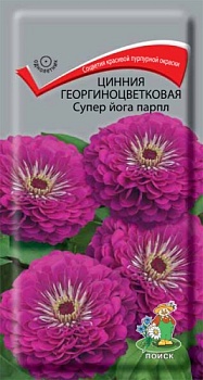 Цинния георгиноцветковая Супер Йога Парпл (0,4гр)