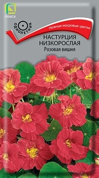 Настурция низкорослая Розовая Вишня (1гр)