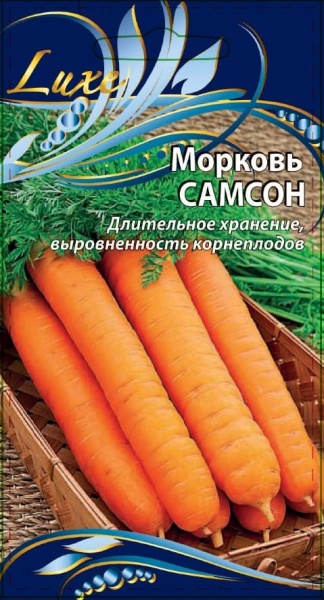 самс (1)