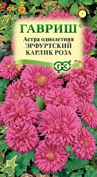 Астра Эрфуртский Карлик Роза (0,3гр)