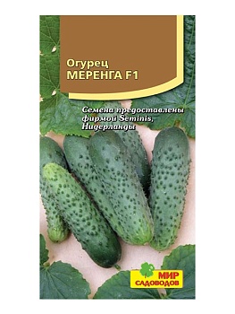 Огурец Меренга F1 (5шт)