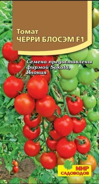 2025-10-10_22-26-33