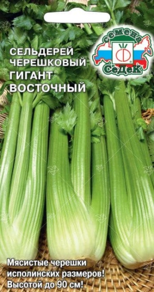 selderey_gigant_vostochnyy_chereshkovyy (1)