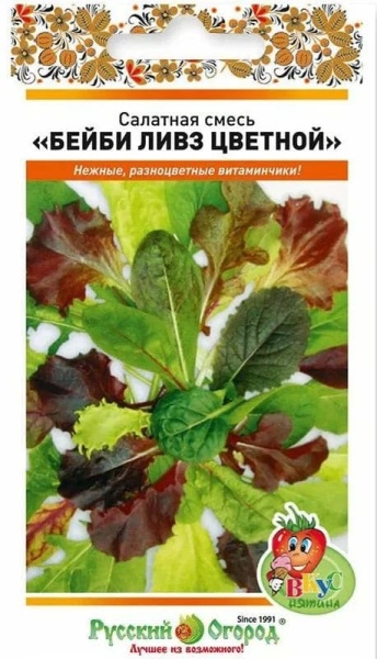 бл (1)