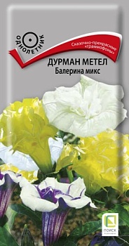 Дурман метел Балерина Микс (3шт)