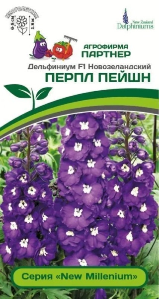 шторм (1)
